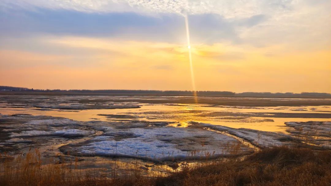 寻美阜新柳河光影组图
