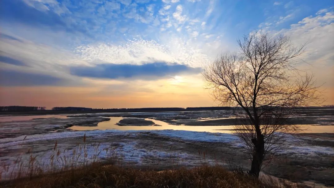 寻美阜新柳河光影组图