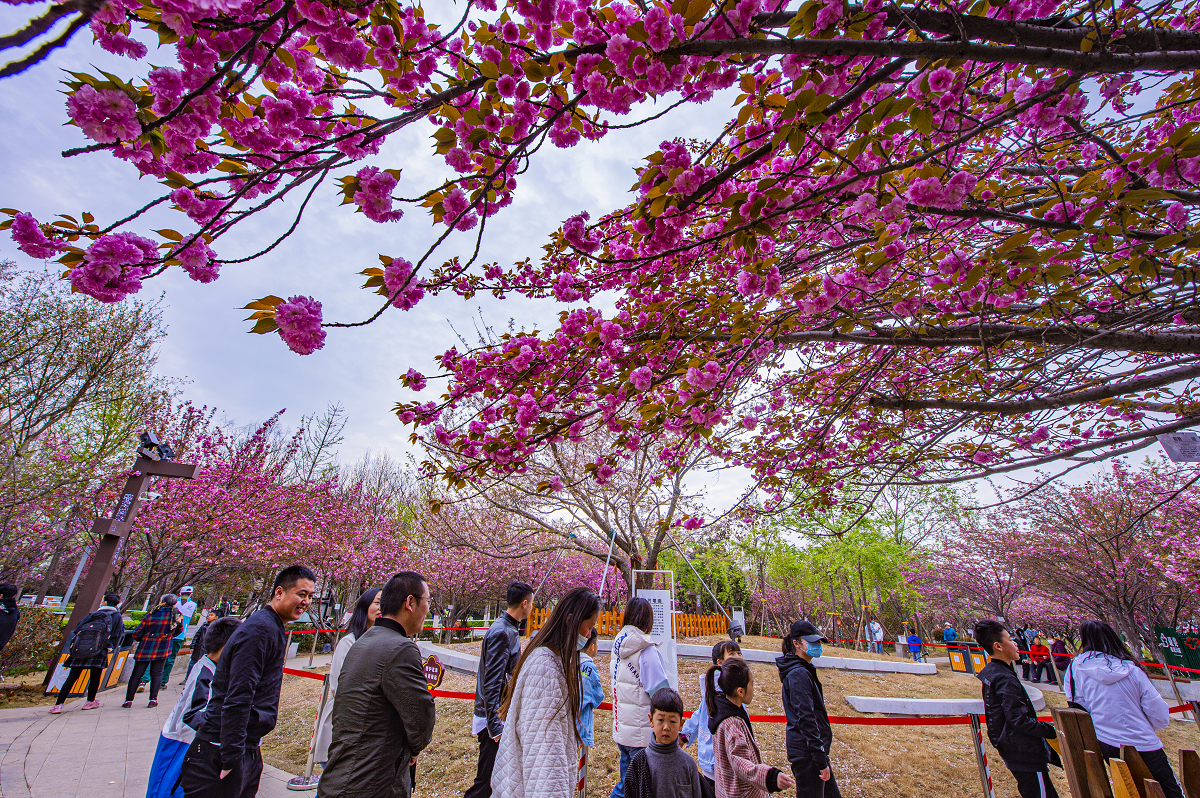 4月2日启幕 第十届中国