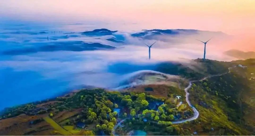 在北纬28°,看"山海诗画"如何实现产业共富_澎湃号·政务_澎湃新闻
