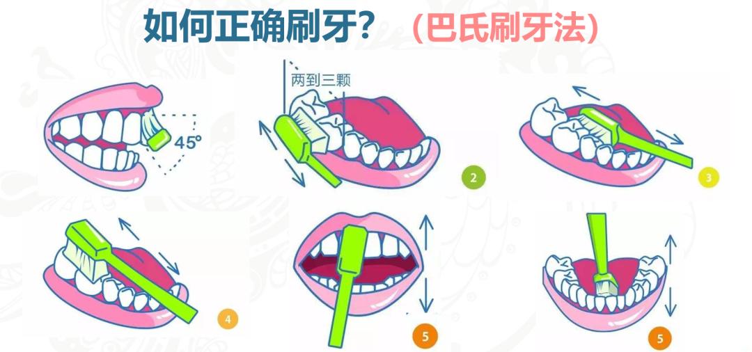 刷牙步骤简笔画 卡通图片