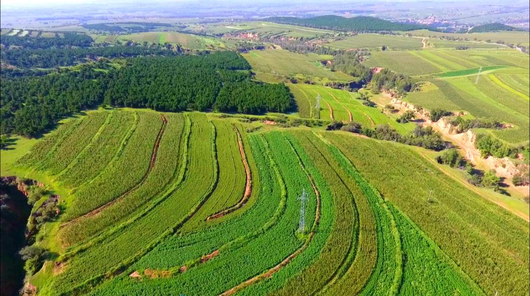 库伦旗:踏疾步 稳推进 坚决打赢科尔沁沙地歼灭战_澎湃号·政务_澎湃
