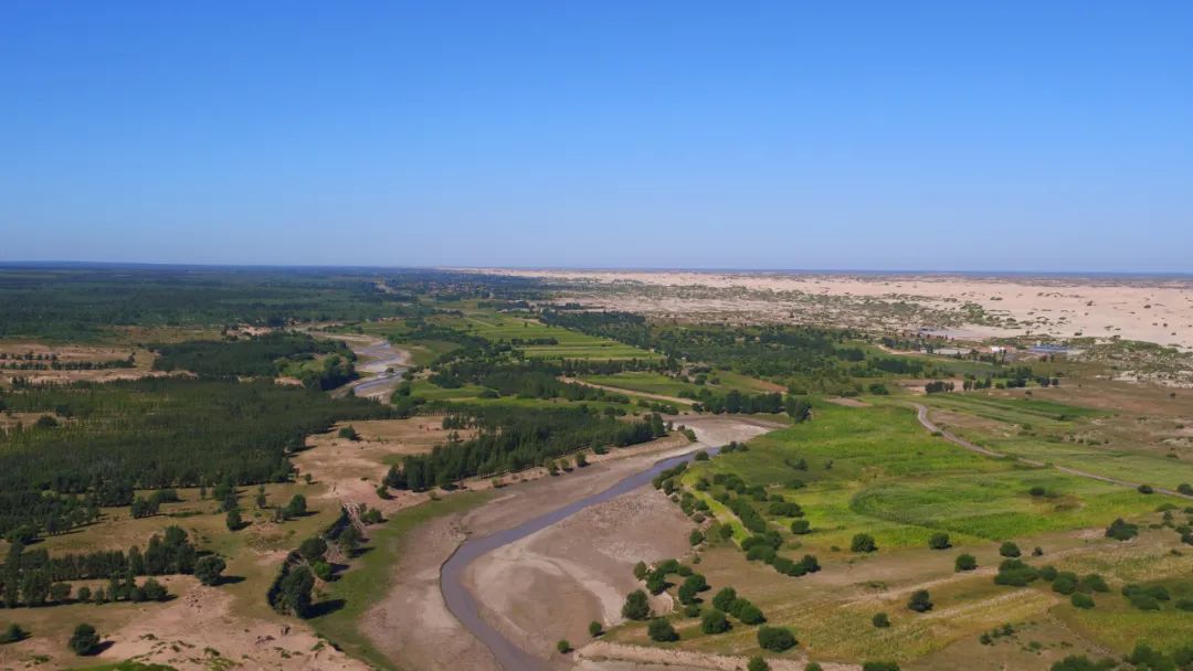 库伦旗:踏疾步 稳推进 坚决打赢科尔沁沙地歼灭战_澎湃号·政务_澎湃