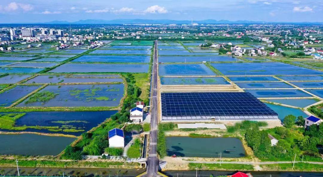 昨天这场省级交流会在望城举行重点关注