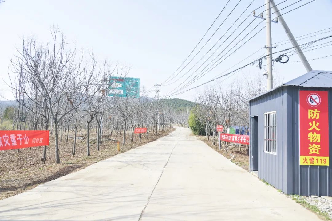 大泉街道王维路防火点,徐州工业园区泉河村,茱萸山街道鹿楼村,小山子