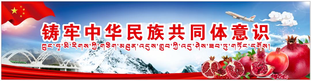 西藏自治区消防救援总队深入开展纪念西藏民主改革65周