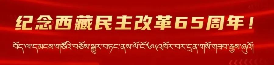 西藏自治区消防救援总队深入开展纪念西藏民主改革65周年活动