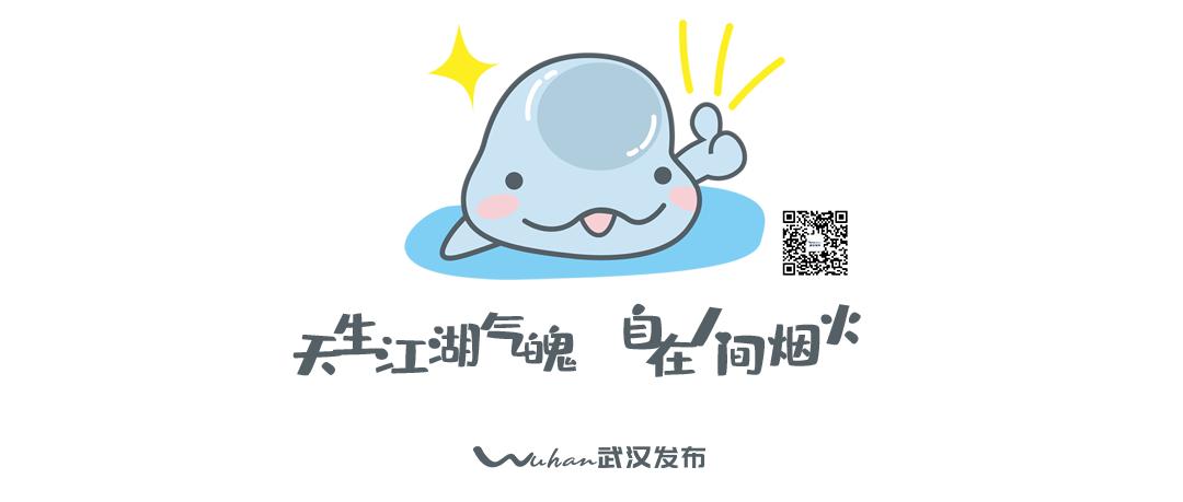 立即停用!_澎湃号·政务_澎湃新闻-the paper