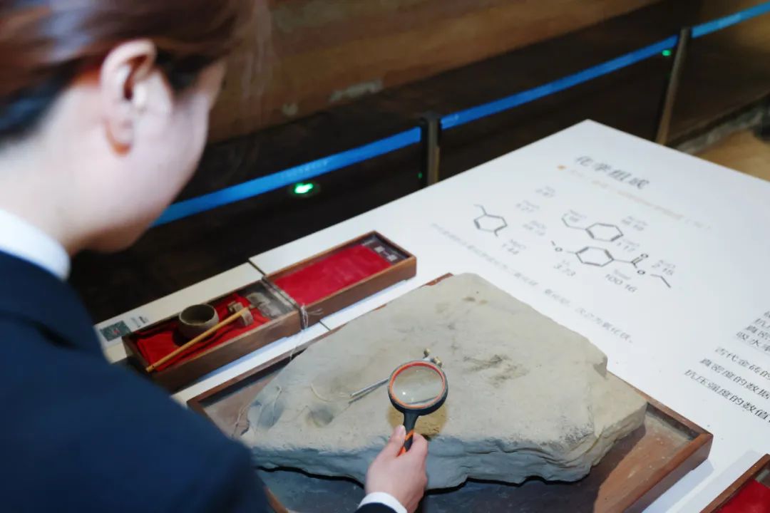 法映非遗 | 我的名字叫"金砖"_澎湃号·政务_澎湃新闻-the paper