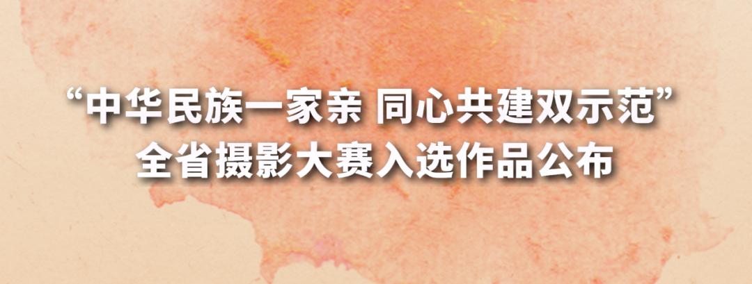 公布|这些作品入选"中华民族一家亲,同心共建双示范"
