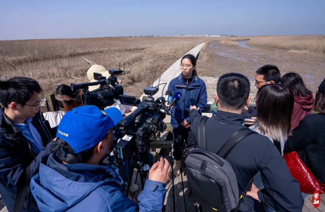 多家央媒,市媒来到崇明,为了……_澎湃号·政务_澎湃新闻-the paper