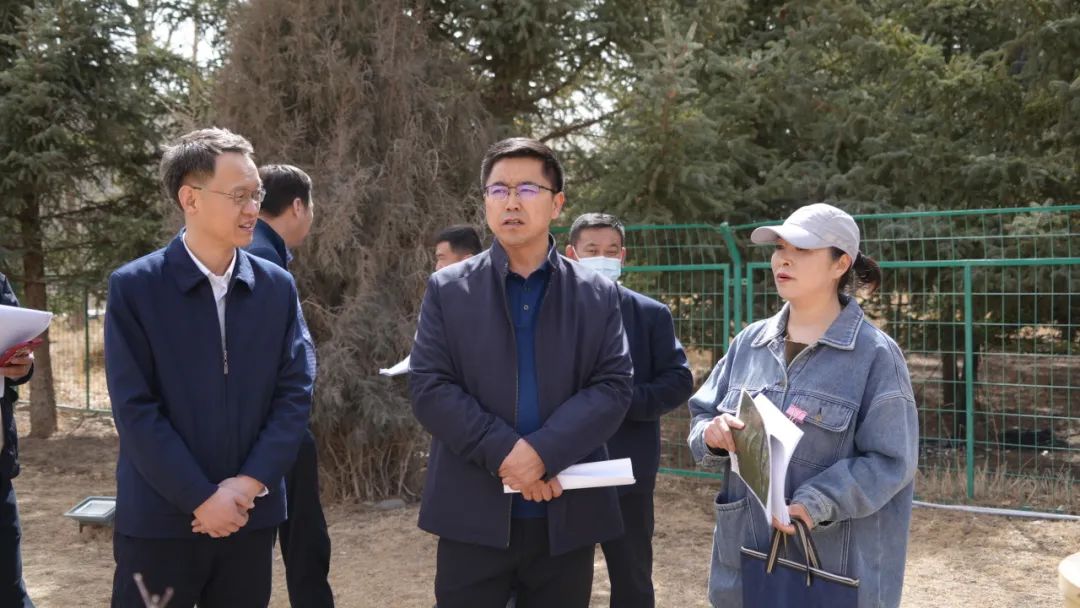 肃南:钟向辉调研督导县城绿化美化亮化 和重要节点改造提升等工作