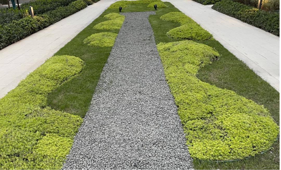 省级海绵城市示范项目 2_澎湃号·政务_澎湃新闻-the paper