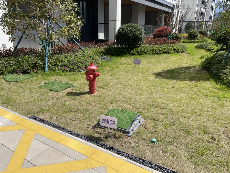 你家的小区"会呼吸"吗?省级海绵城市示范项目 2