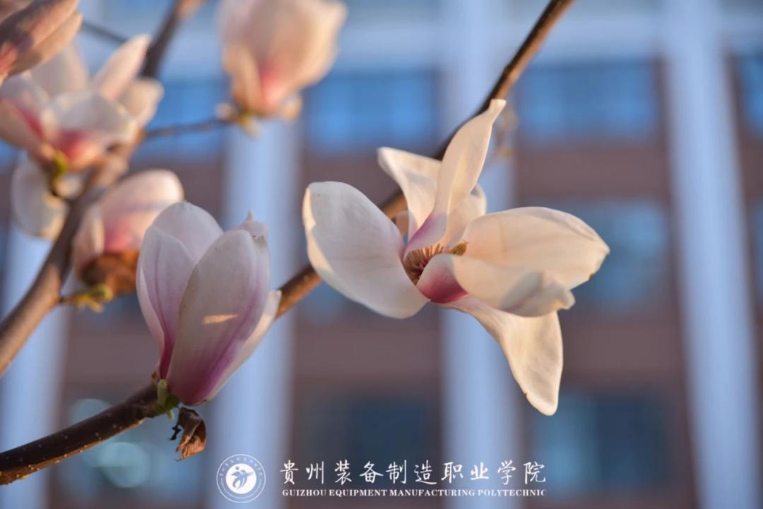 幼儿师范高等专科学校六盘水职业技术学院安顺职业技术学院铜仁职业