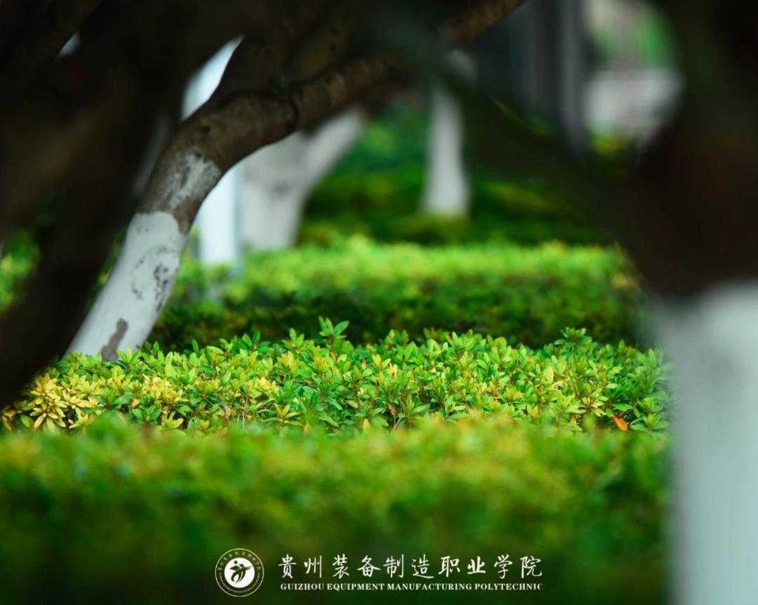 幼儿师范高等专科学校六盘水职业技术学院安顺职业技术学院铜仁职业
