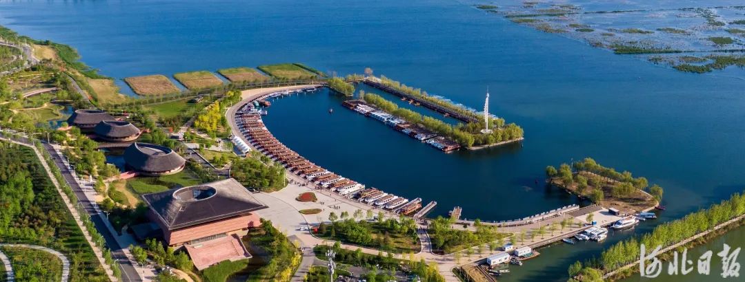 白洋淀,飞鸟集_澎湃号·政务_澎湃新闻-the paper