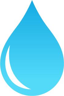 "……3月29日下午由盐城师范学院湿地学院组建的长江江豚调查队来到