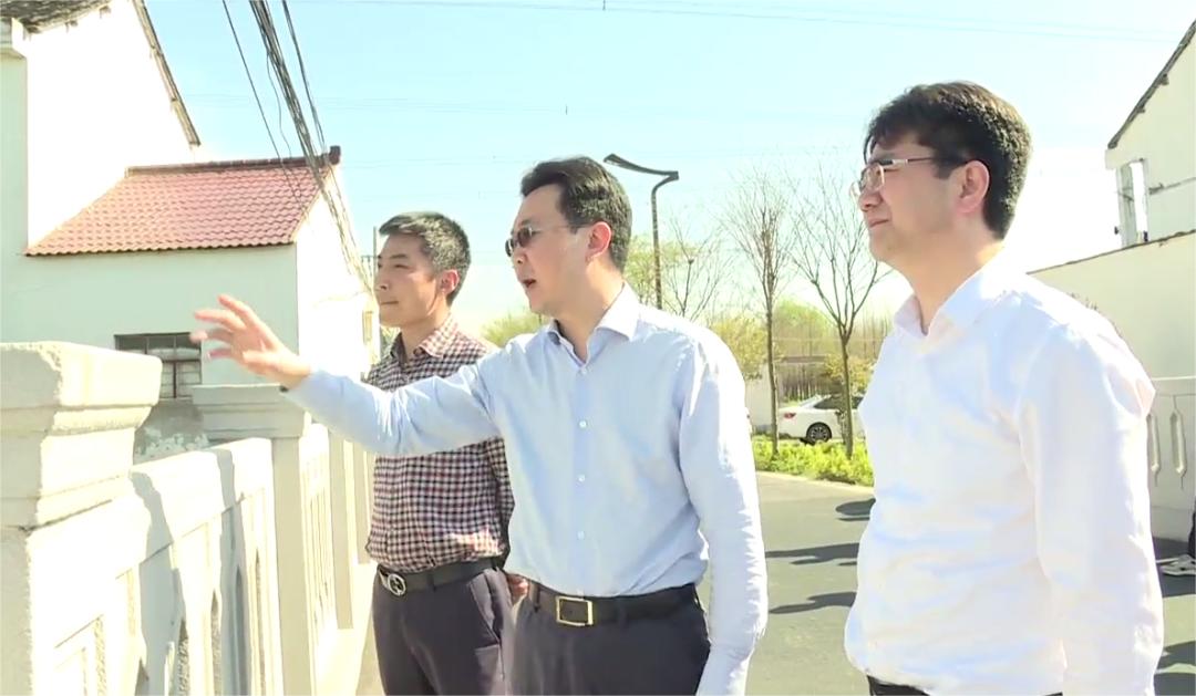 在庄行镇,王益群实地察看了王家宅河的流域水质,周边环境,日常管护等