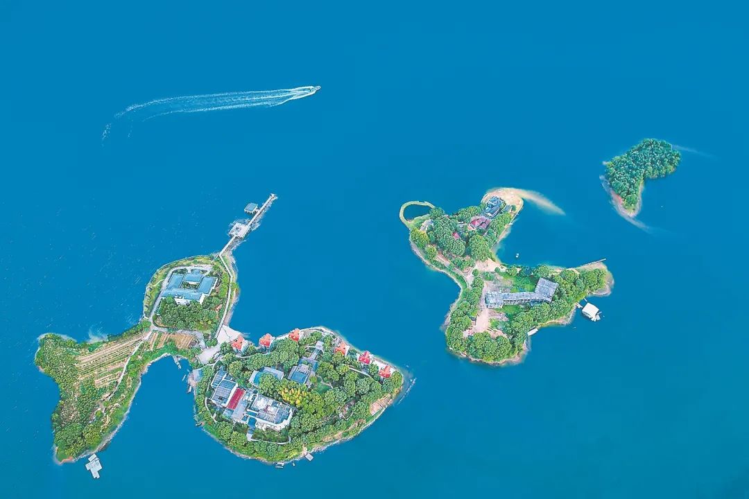 【翠屏湖保护与开发】古田:一汪清水背后的故事_澎湃号·政务_澎湃