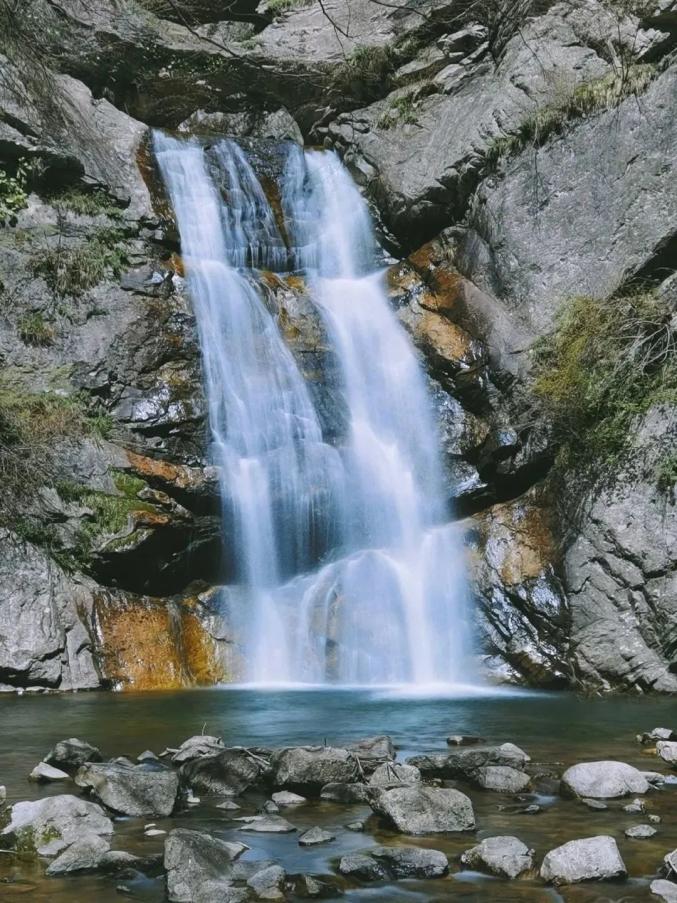 澎湃号·政务_澎湃新闻-the paper