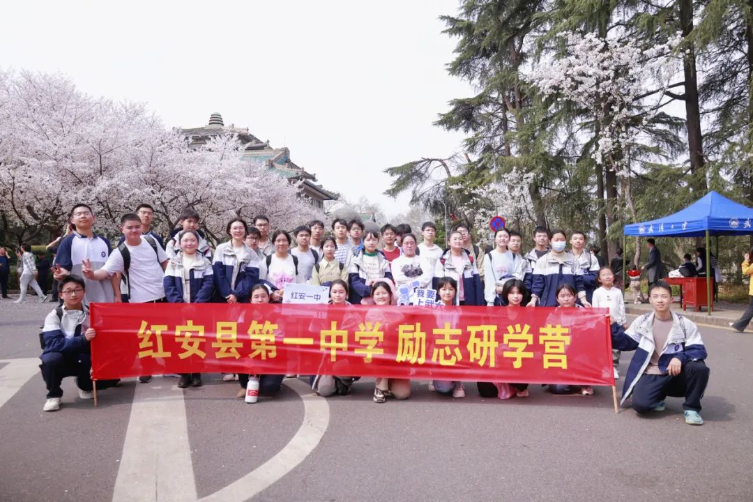 领略最美珞珈底蕴共赴一场樱花之约邀请全国各地的学子高中生赏樱专场