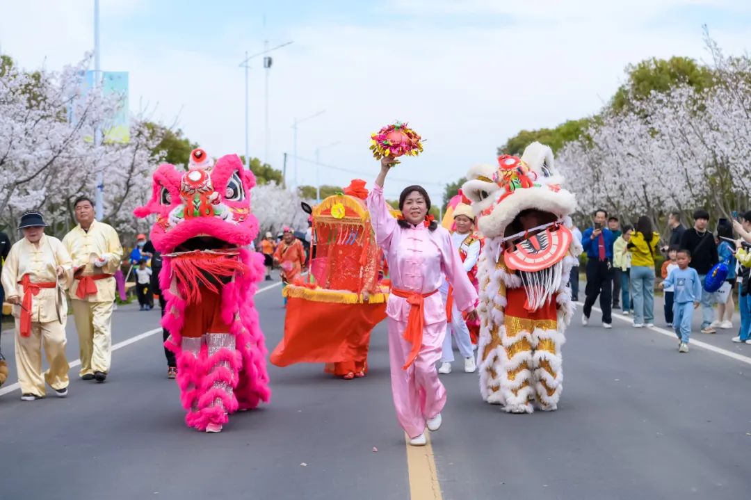 上海奉贤菜花节就差你了!