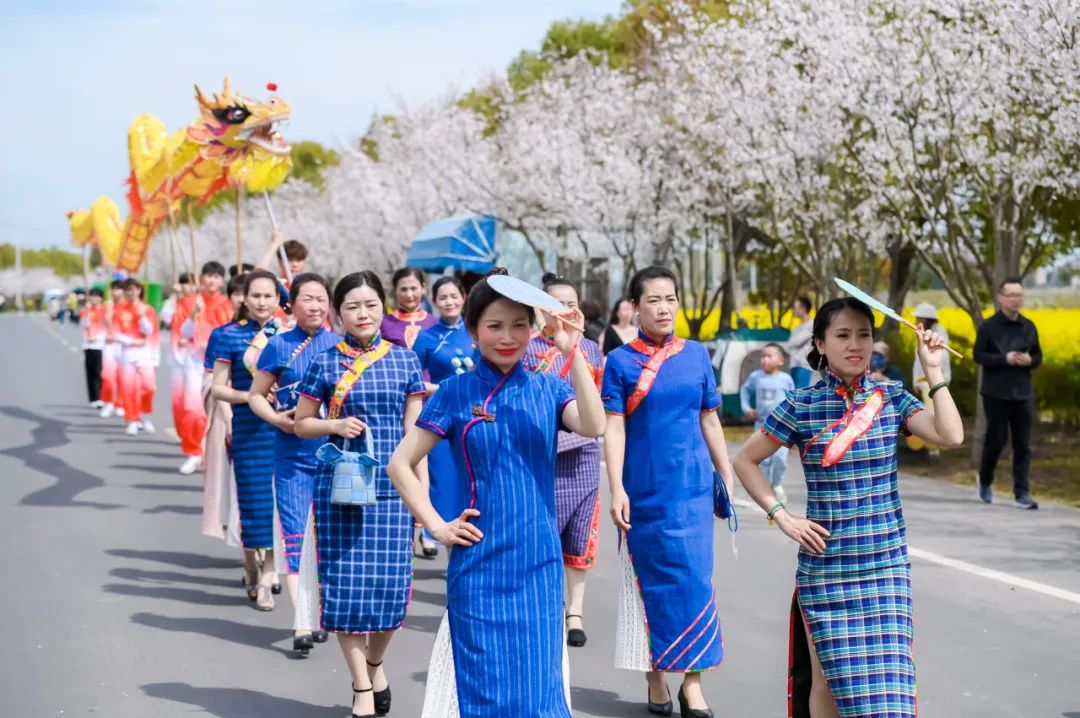 上海奉贤菜花节就差你了!