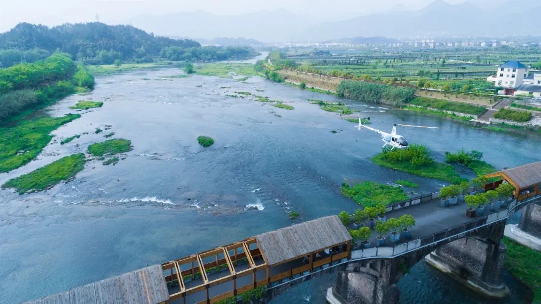 春游丽水松阳春日不可错过的打卡胜地