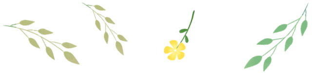 小布摄影团快看春天在这里三月上海每走一步都是花路