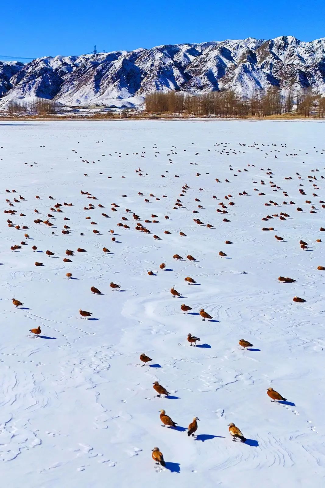 朱海荣 摄△清晨,永