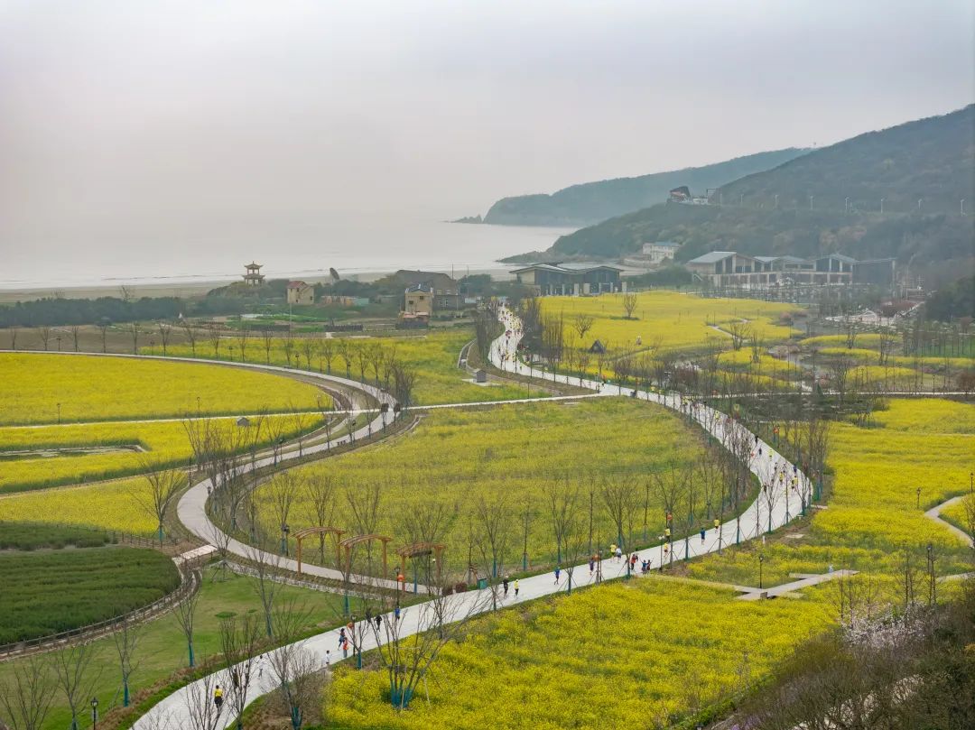 澎湃号·政务_澎湃新闻-the paper