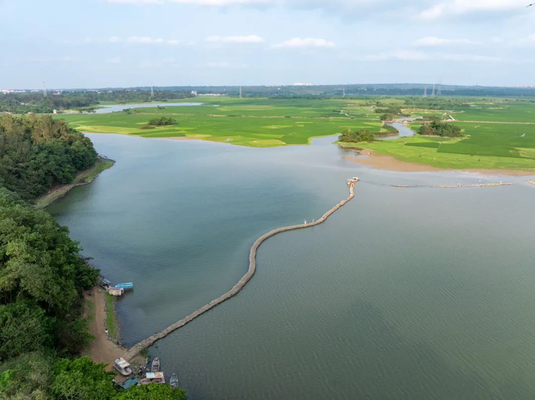 位于海口龙塘镇国仓村里一年只出现三个月这座神秘蛇桥图源悠游island