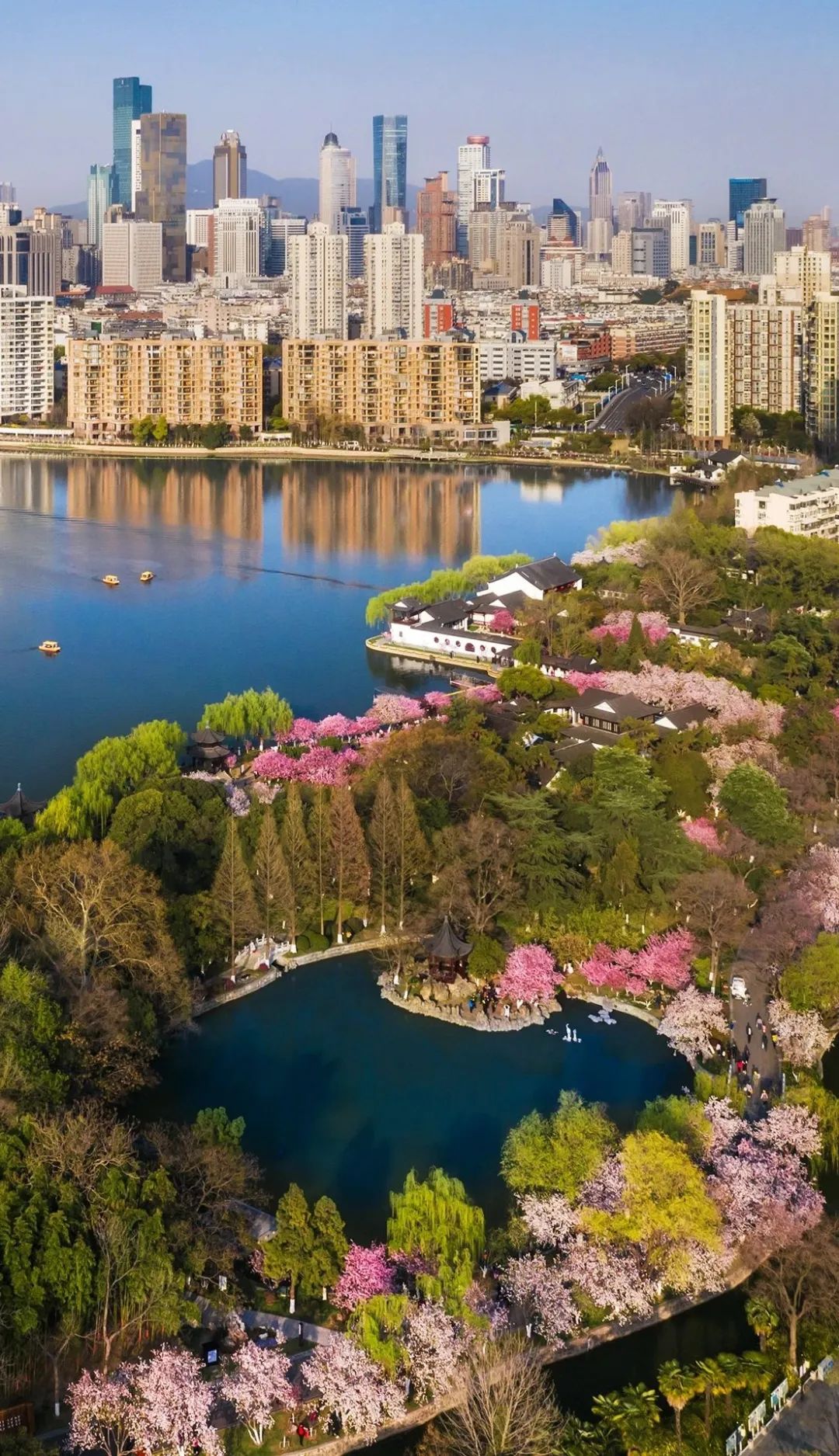 南京的文学作品其中就包括你熟知的宋濂的《阅江楼记》袁枚的《随园记