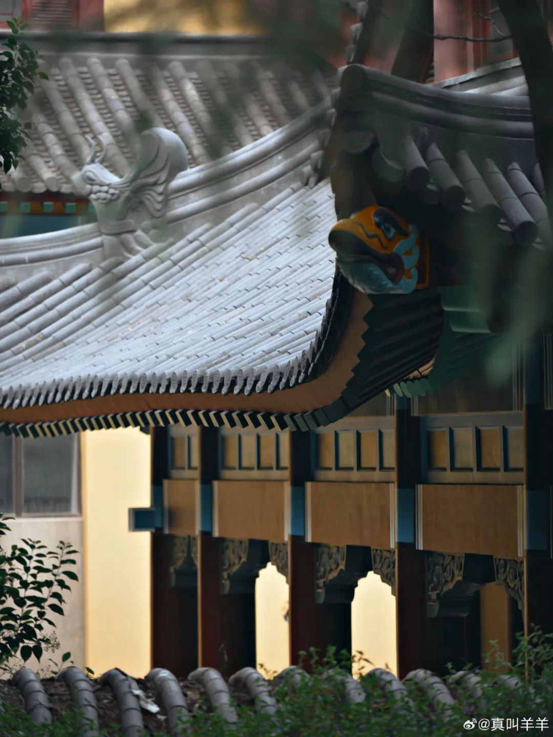 随园,位于南京小仓山一带,是清代江南三大名园之一.