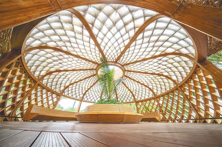 "博鳌是我国首个拿到德国能源署颁发的区域零碳运行认证的示范区