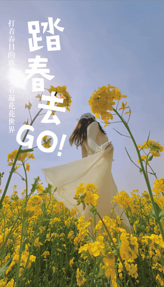 清明小长假即将到来运城文旅收到好多私信:最近运城有哪些赏花好去处?