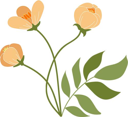 在杨浦,"花样"生活在家门口"蓬勃生长"_澎湃号·政务_澎湃新闻-the