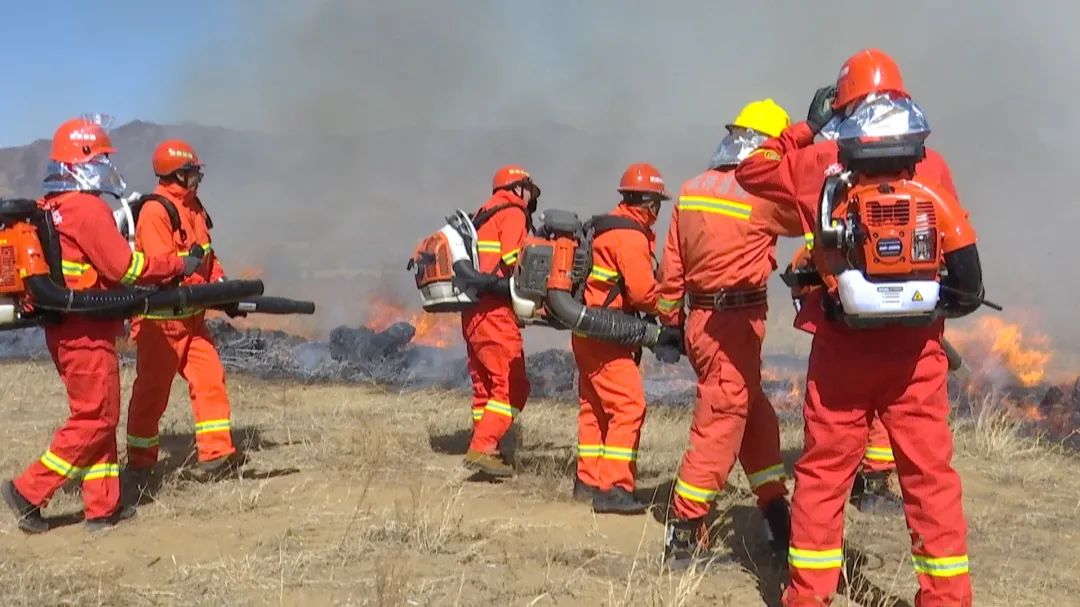 自然保护区管理局乌兰察布分局局长张世君,市应急管理局副局长渠涛,市