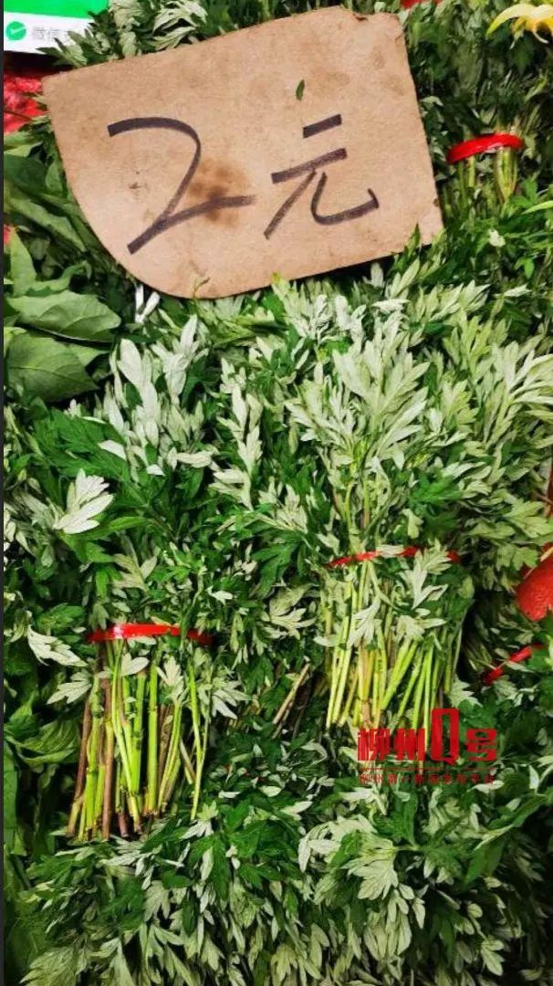 乔颖玉介绍,每年,该院都会接诊因食用野菜导致呕吐,头晕,拉肚子的患者