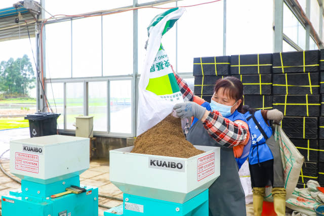 新装备新技术领航 岭南处处春耕忙_澎湃号·媒体_澎湃新闻-the paper