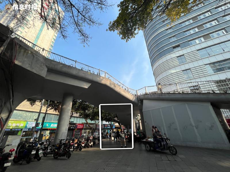 就在广州这两处人行天桥_澎湃号·政务_澎湃新闻-the paper