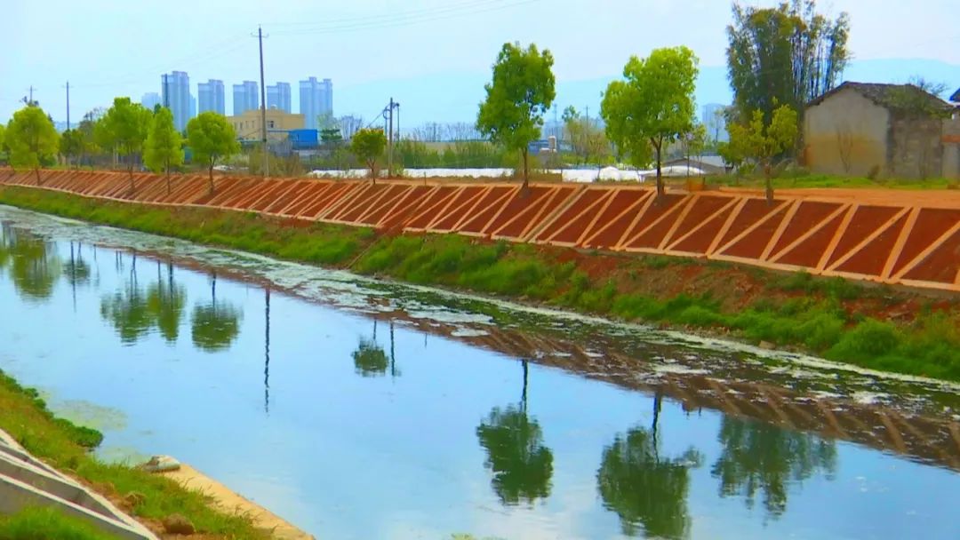 州市看点出实招见实效保山市打好东河流域水污染治理组合拳