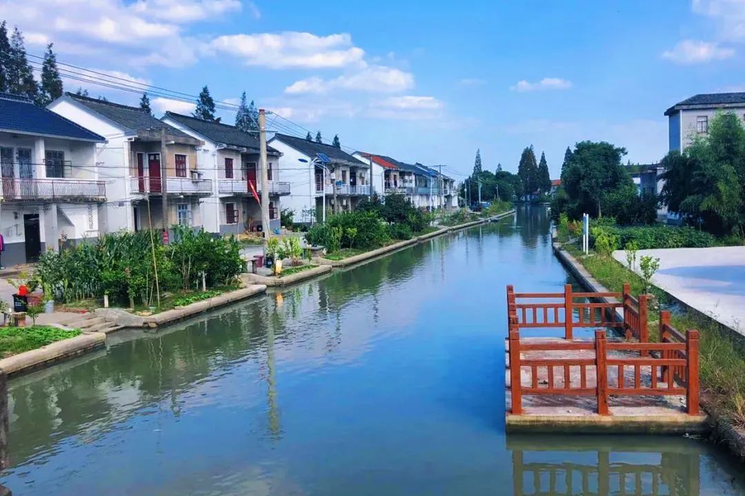 青浦练塘:让绿水清波荡漾起群众幸福生活_澎湃号·政务_澎湃新闻-the