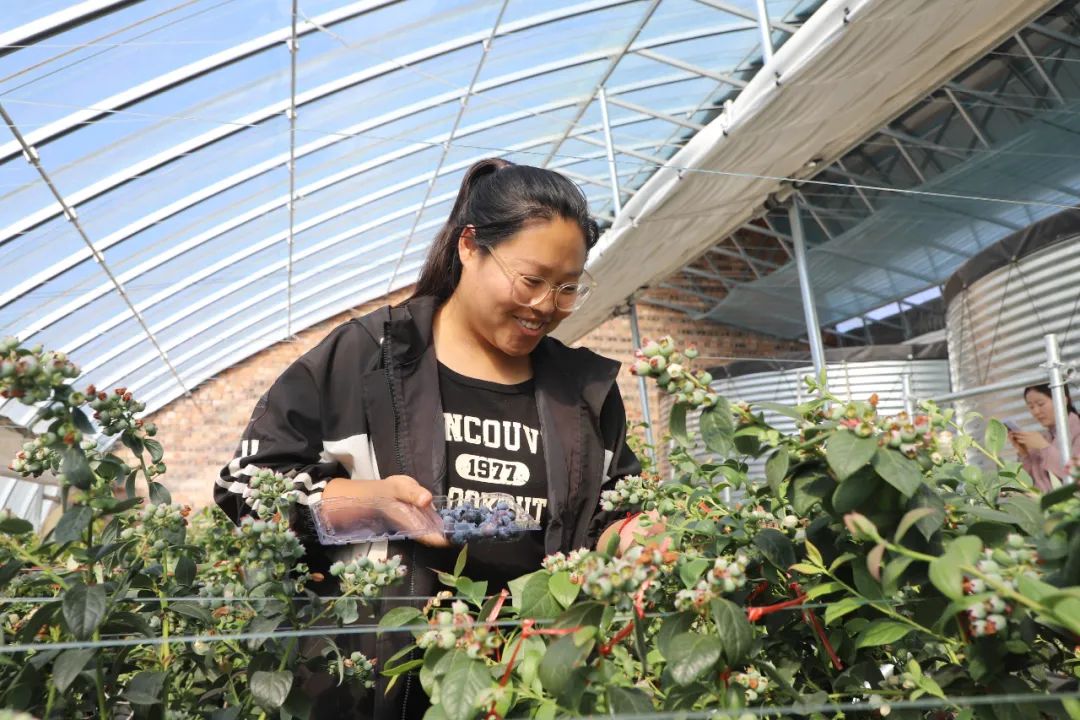 成片的树木长势葱郁,第一批果实已经陆续成熟,犹如一颗颗圆润的宝石