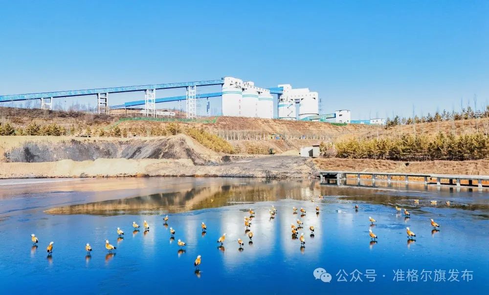 新华社聚焦准格尔旗绿色矿山瓜果飘香鸟蹁跹