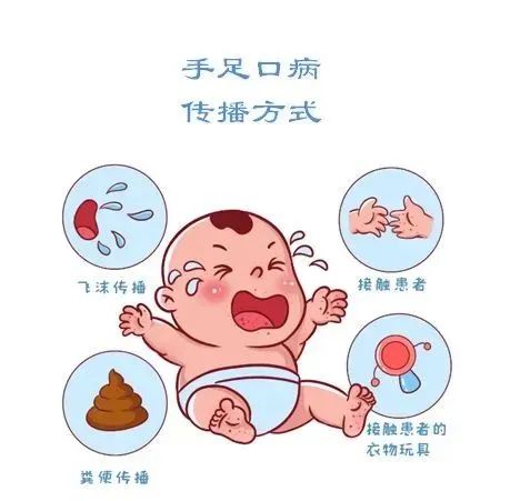 这种传染病即将进入高发季_澎湃号·政务_澎湃新闻-the paper