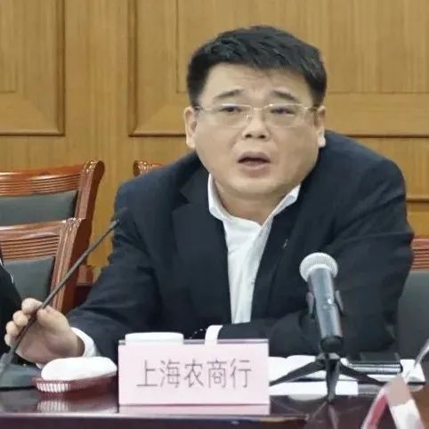 赋能高质量发展 第六期上海(嘉定)民营经济圆桌会举行_澎湃号·政务