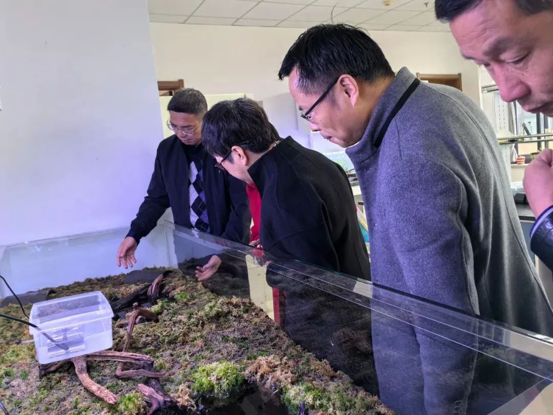 在生科院的标本馆中,学院党委书记张立明带领各位老师重点参观了两个