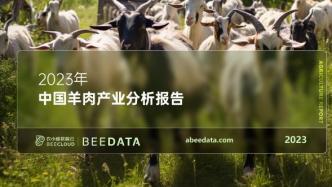 2023年中国羊肉产业分析简报